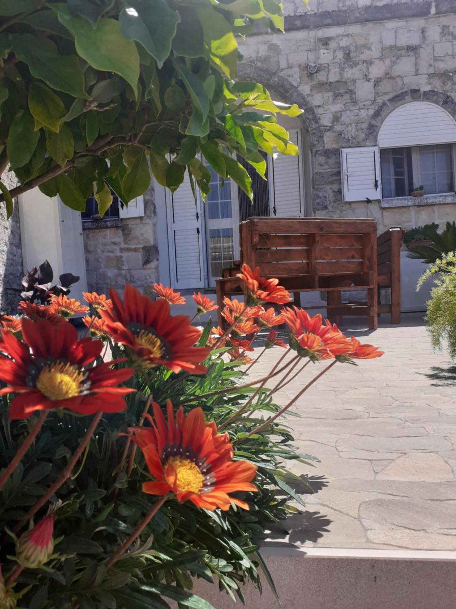 La Mia Dimora Villa Cocolicchio Exterior photo